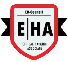 Ethical Hacking Training in 